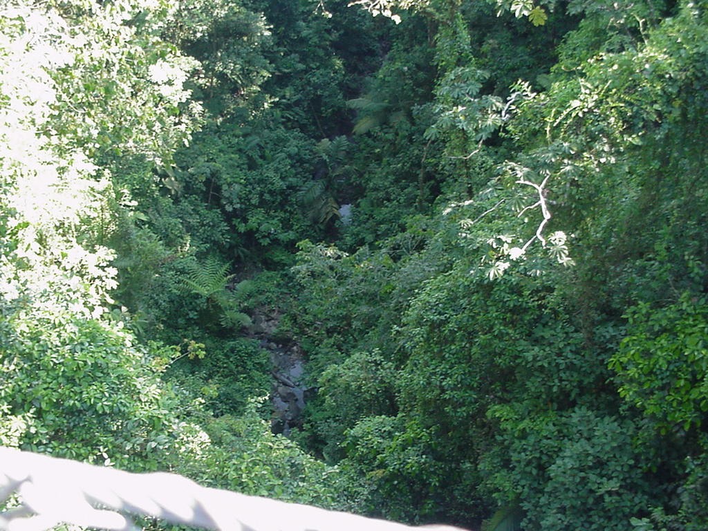 Costa Rica Project Photo